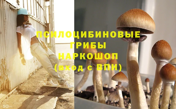 Альфа ПВП Горнозаводск