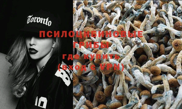 Альфа ПВП Горнозаводск