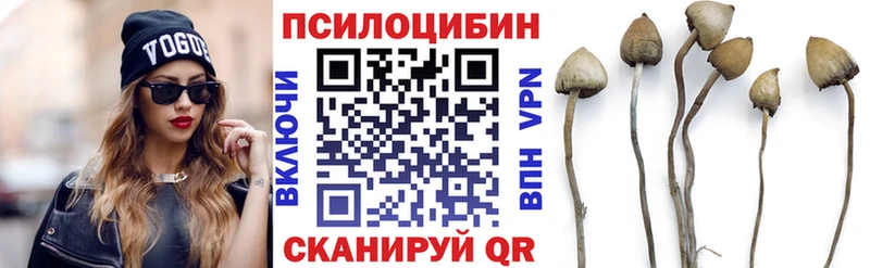 где можно купить   Томск  Псилоцибиновые грибы GOLDEN TEACHER 